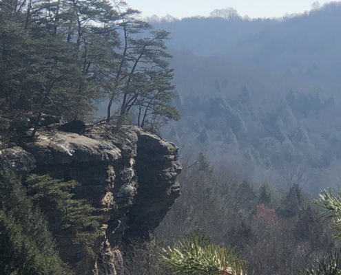 Conkles Hollow Rim Trail in Hocking Hills State Park - Gleason 