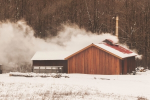 Maple Valley Sugarbush & Apiary