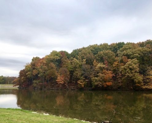 Mount Gilead State Park Hiking