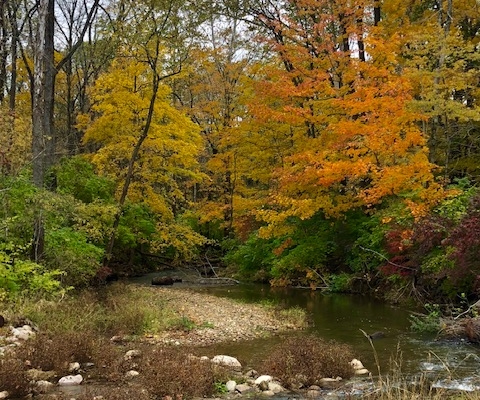 Mount Gilead State Park Hiking