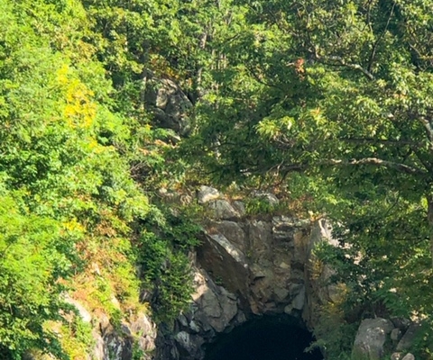 Shenandoah National Park