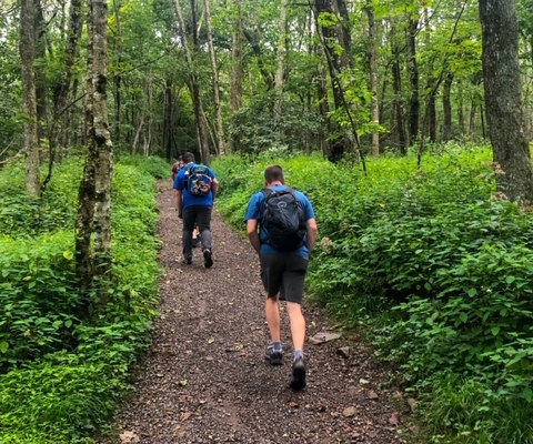 Shenandoah National Park