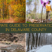 The Ultimate Guide to Preservation Parks in Delaware County