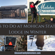 Mohican State Park Lodge