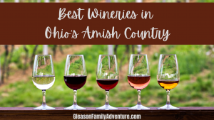 Wineries in Ohio's Amish Country