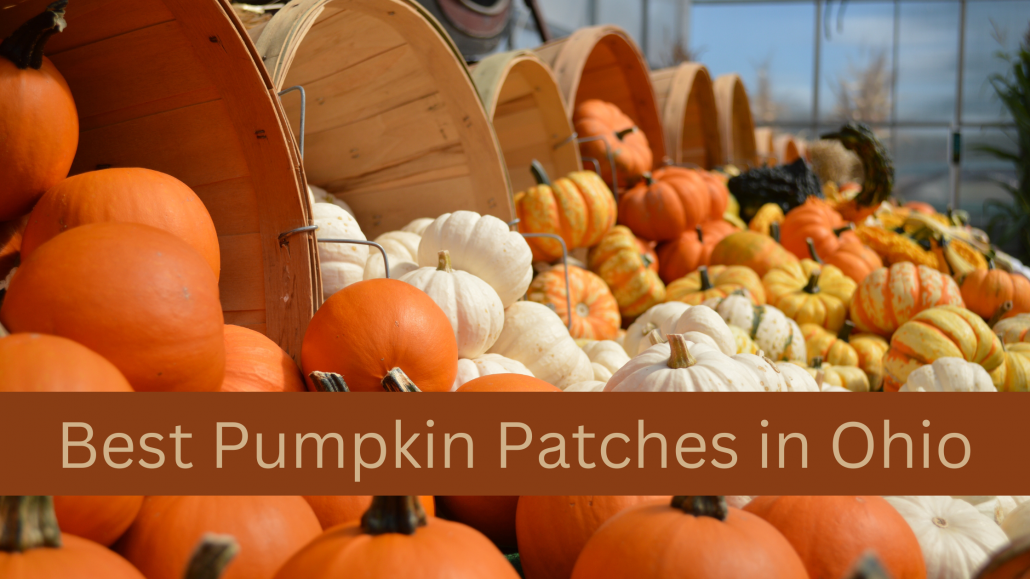 Best Pumpkin Patches In Ohio Gleason Family Adventure