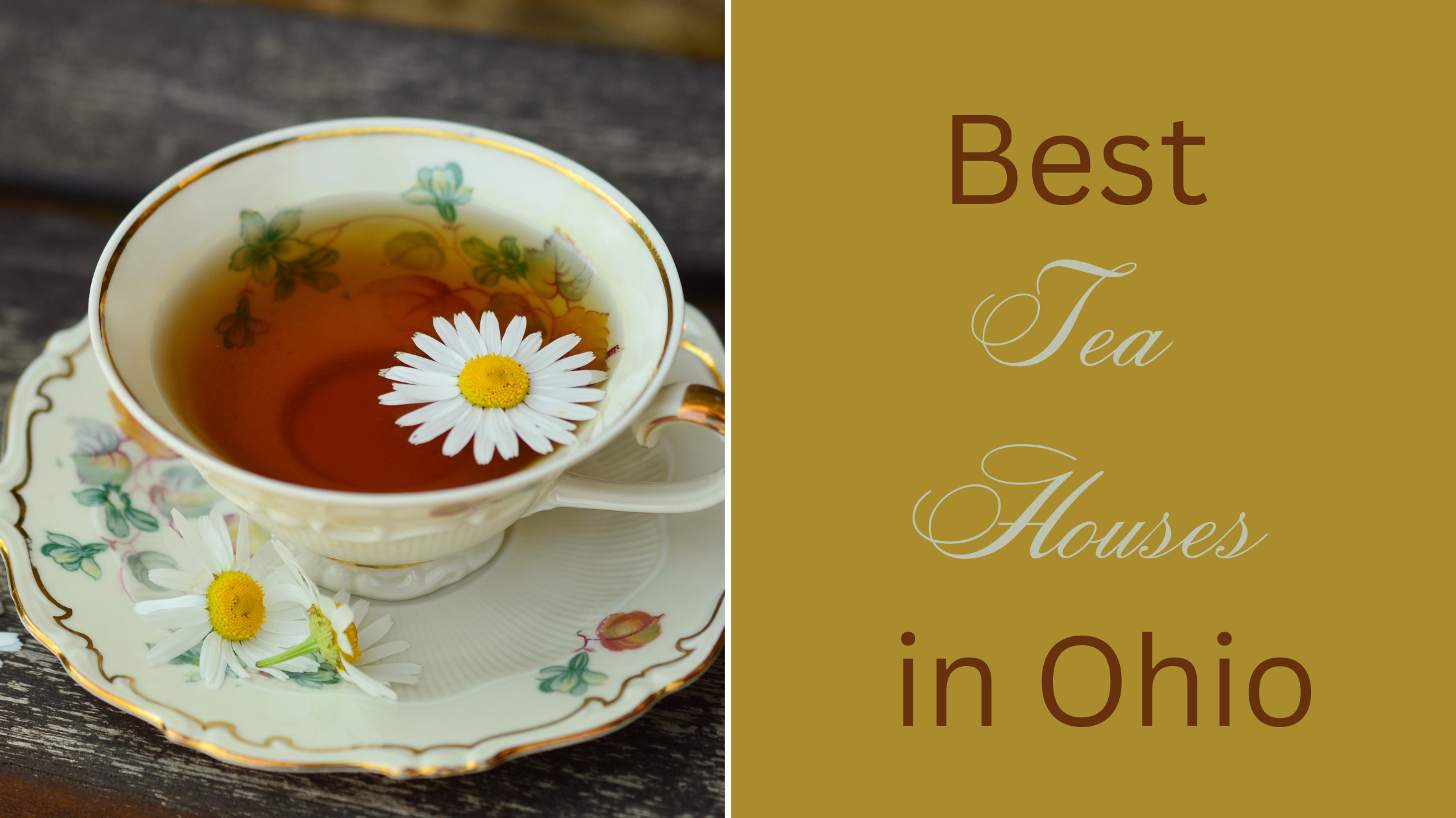 Best Tea Houses in Ohio Gleason Family Adventure