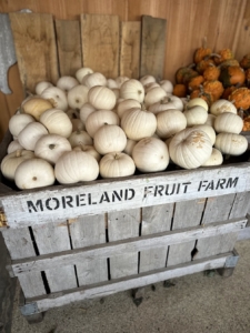 Moreland Fruit Farm Wooster, Ohio Moreland Fruit Farm Wooster, Ohio