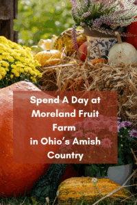 PIN Spend A Day at Moreland Fruit Farm in Ohio’s Amish Country (Pinterest Pin) Moreland Fruit Farm Wooster, Ohio