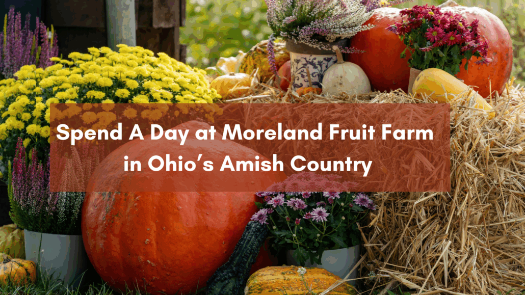 Moreland Fruit Farm Wooster, Ohio