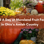 Spend A Day at Moreland Fruit Farm in Ohio’s Amish Country Moreland Fruit Farm Wooster, Ohio