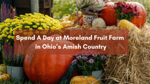 Spend A Day at Moreland Fruit Farm in Ohio’s Amish Country Moreland Fruit Farm Wooster, Ohio